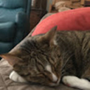 Meet your Posher, Rumsey ann